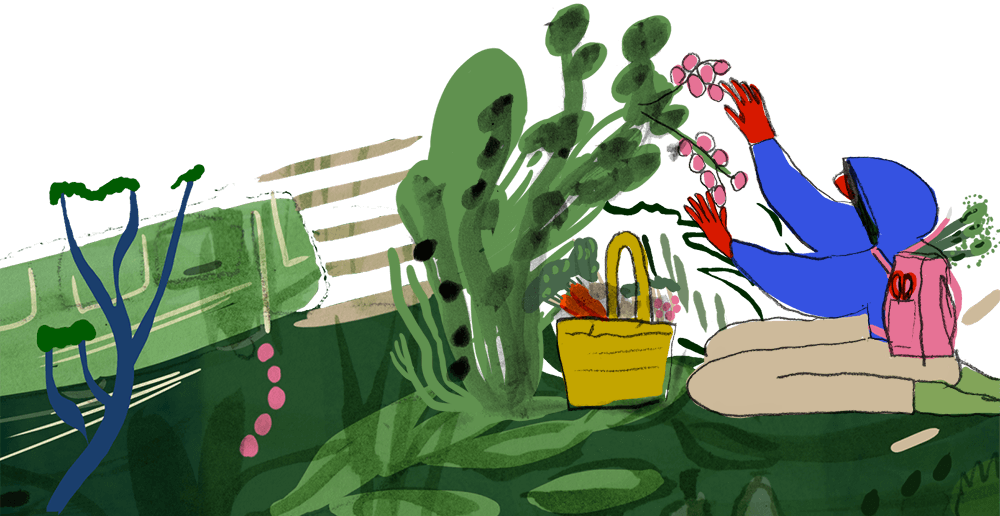 Plants